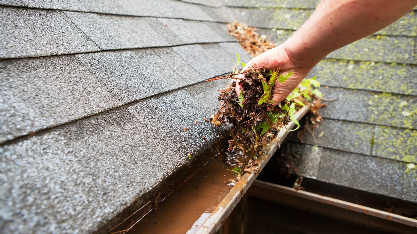gutter maintenance Colorado Springs