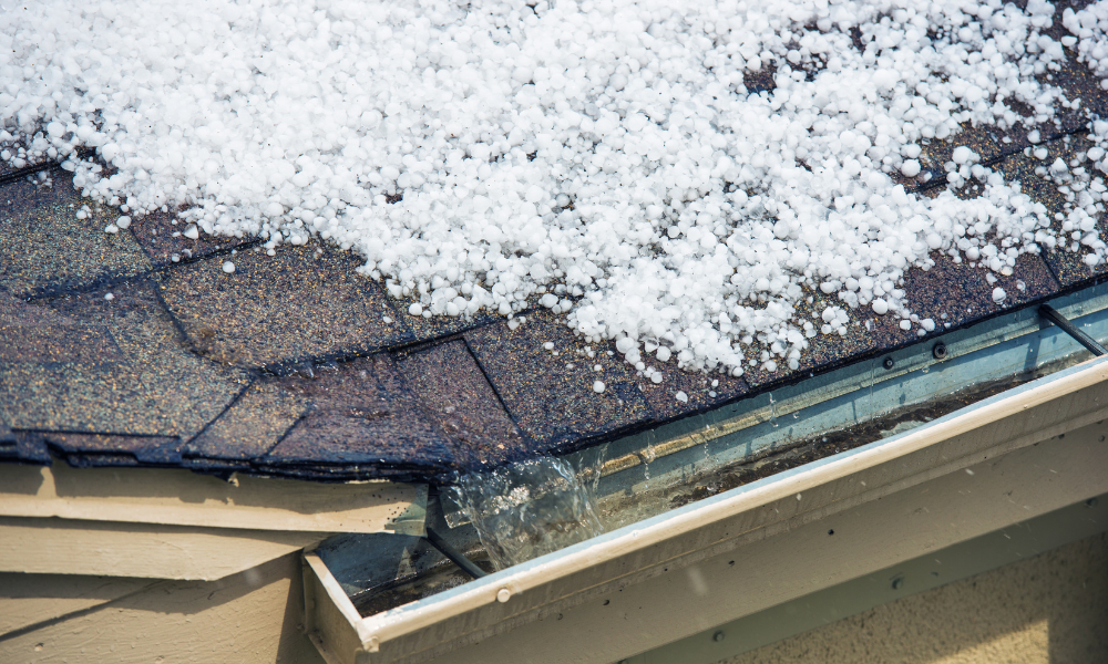 hail damage roof