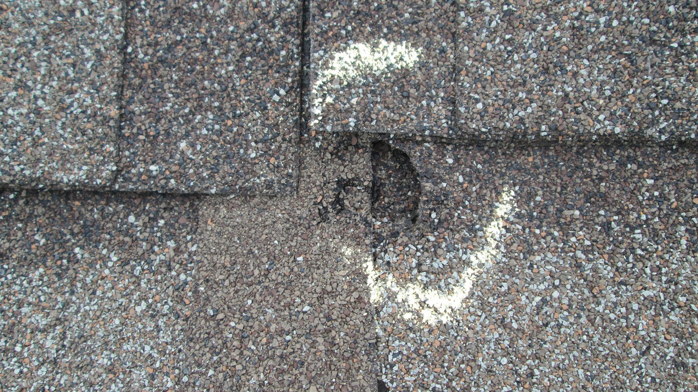 hail damage shingles roof