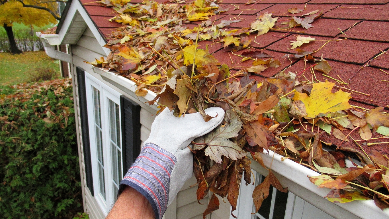 gutter replacement cost
